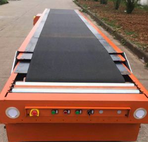 Ƥ����s�C����ע�����